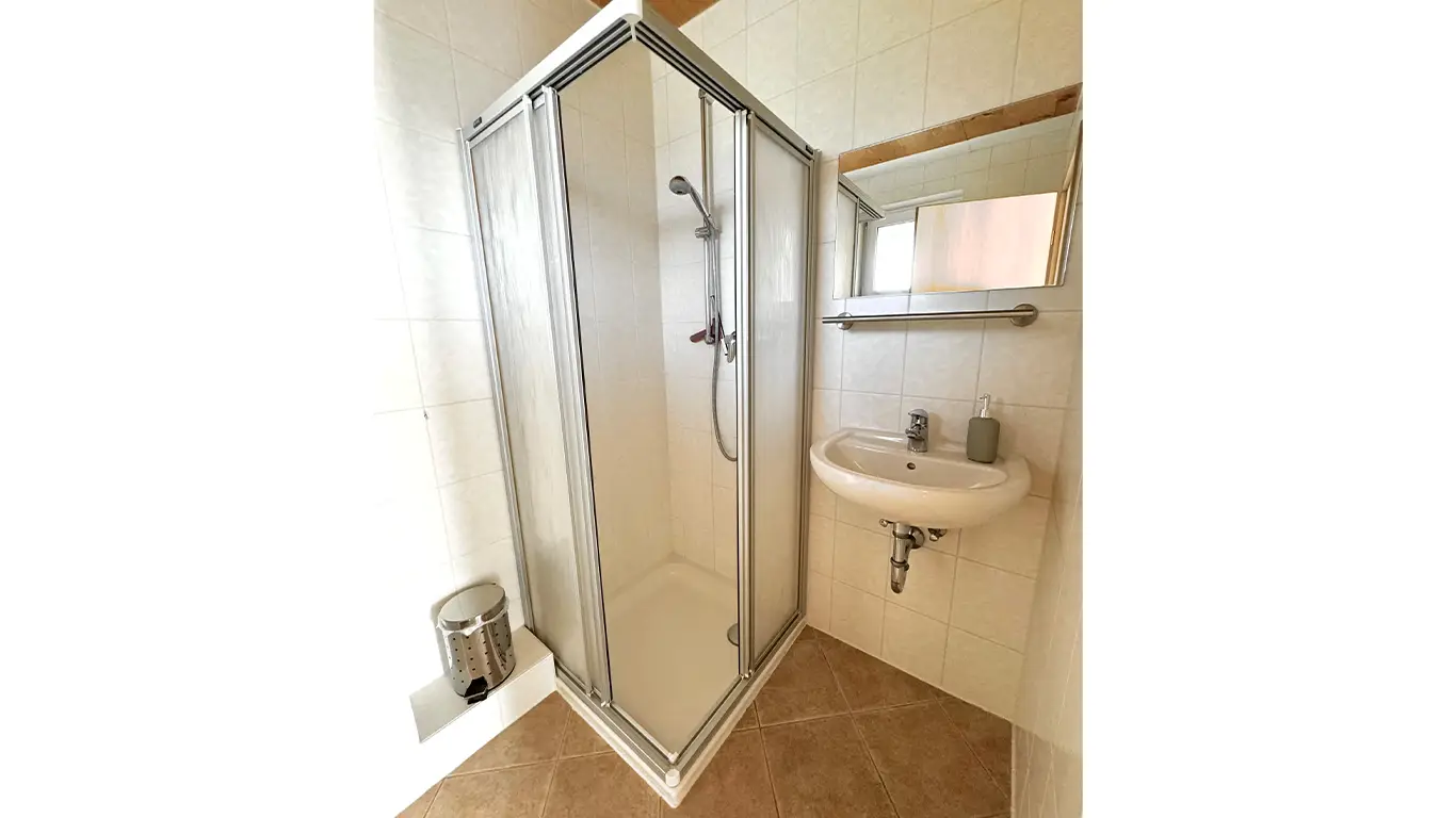 Kleine Badezimmerdusche mit halbtransparenten Schiebetüren, Handbrause, Wandwaschbecken mit Seifenspender und Mülleimer auf braunem Fliesenboden.